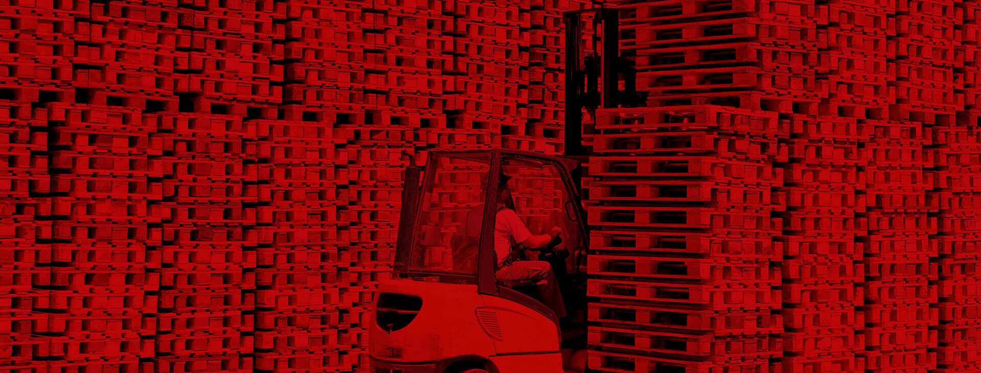 Listos
para exportar